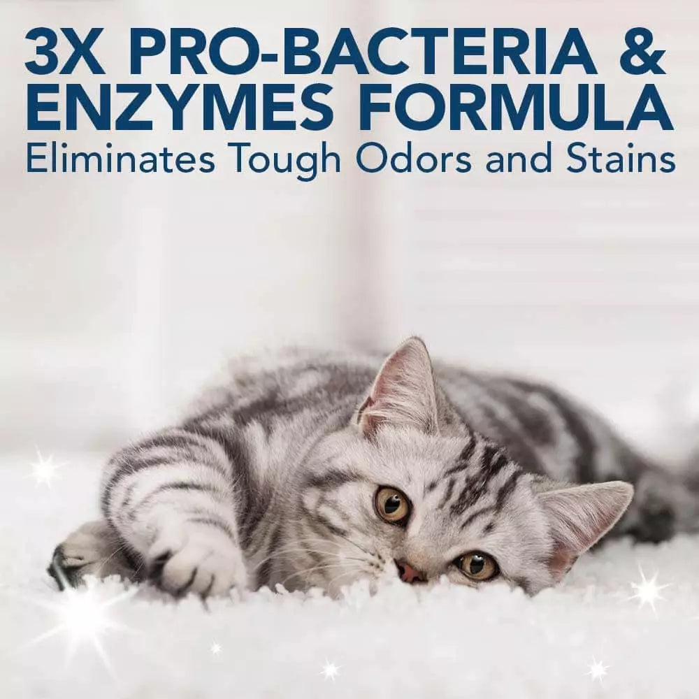 A grey tabby cat resting comfortably on a clean, fluffy white rug, with text emphasizing the 3X Pro-Bacteria and Enzymes formula that eliminates tough odors and stains.