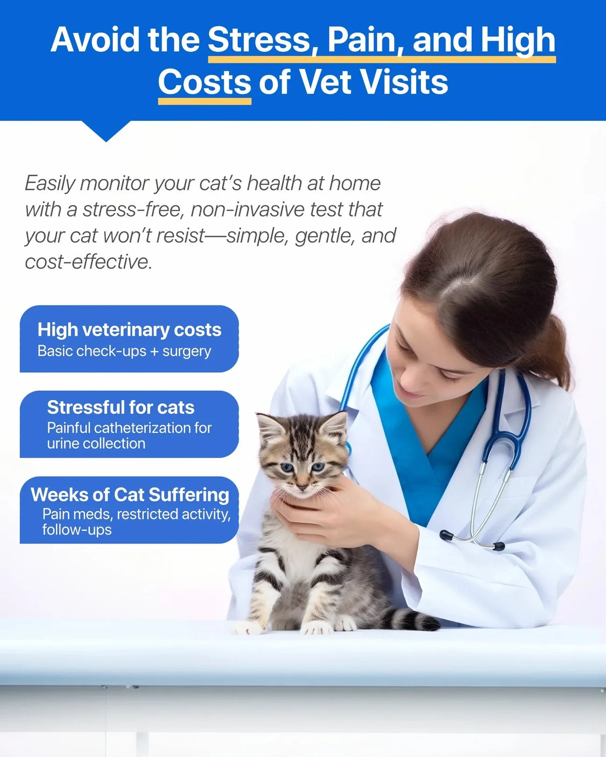eterinarian examining a tabby cat, highlighting high clinic costs and stress avoided by early at-home urinary monitoring.