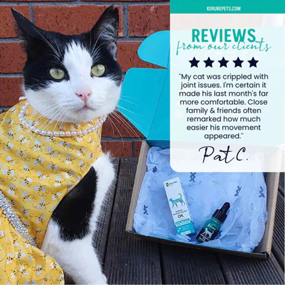 A black and white tuxedo cat wearing a yellow dress next to an unboxed Kōrure Pets oil. Includes a 5-star customer review stating the oil made a crippled cat&