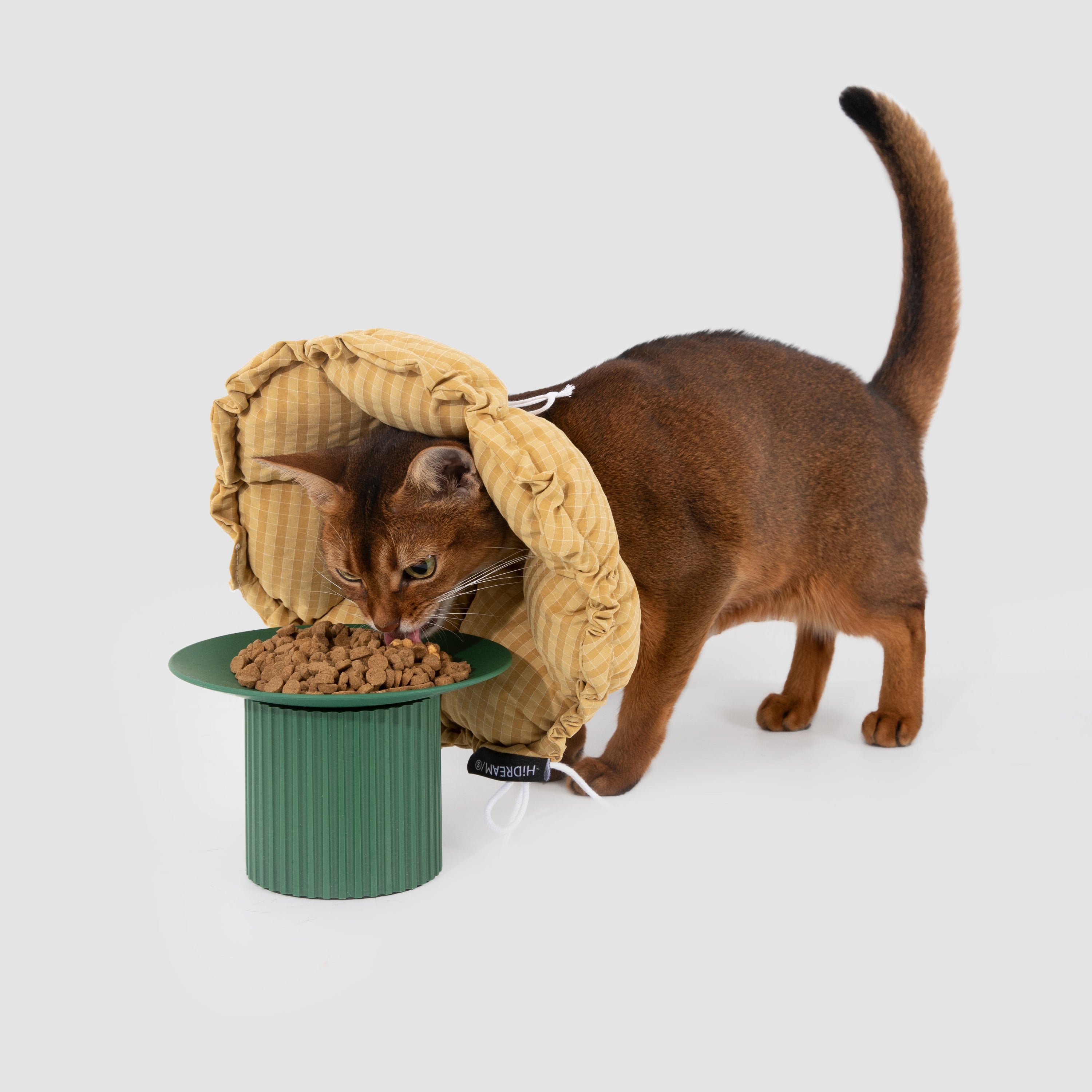 An Abyssinian cat comfortably eating dry kibble from an elevated green bowl while wearing the yellow gingham soft recovery collar.