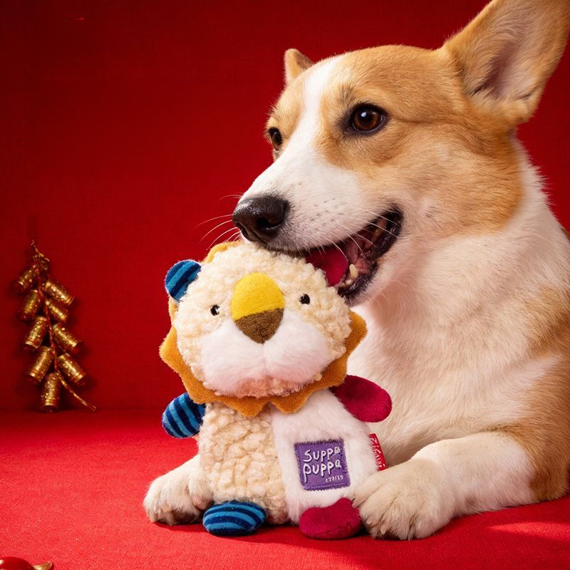 A happy Corgi dog resting against a vibrant red background and gently chewing on a plush lion crinkle toy, highlighting the comforting and engaging design for pets.
