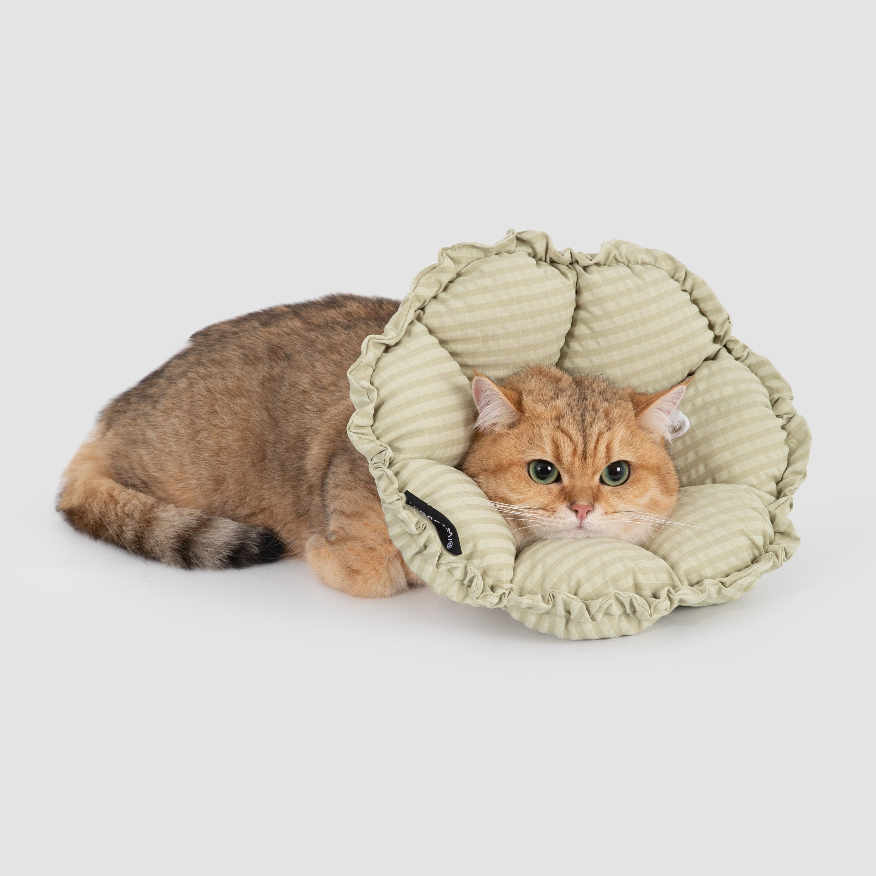 A golden British Shorthair cat resting peacefully on the floor, using the green gingham HiDREAM soft recovery collar as a comfortable neck pillow.