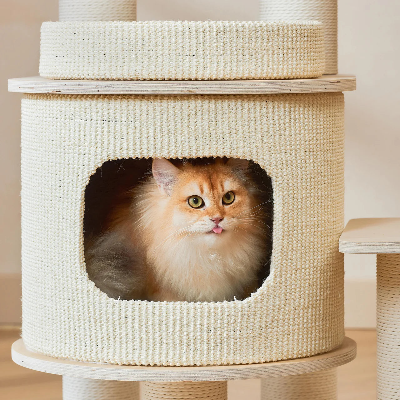 A cute golden cat sticking its tongue out (blep) from inside the cozy enclosed nest of the Michu Luna wooden cat tree. A secure hideaway for feline comfort.