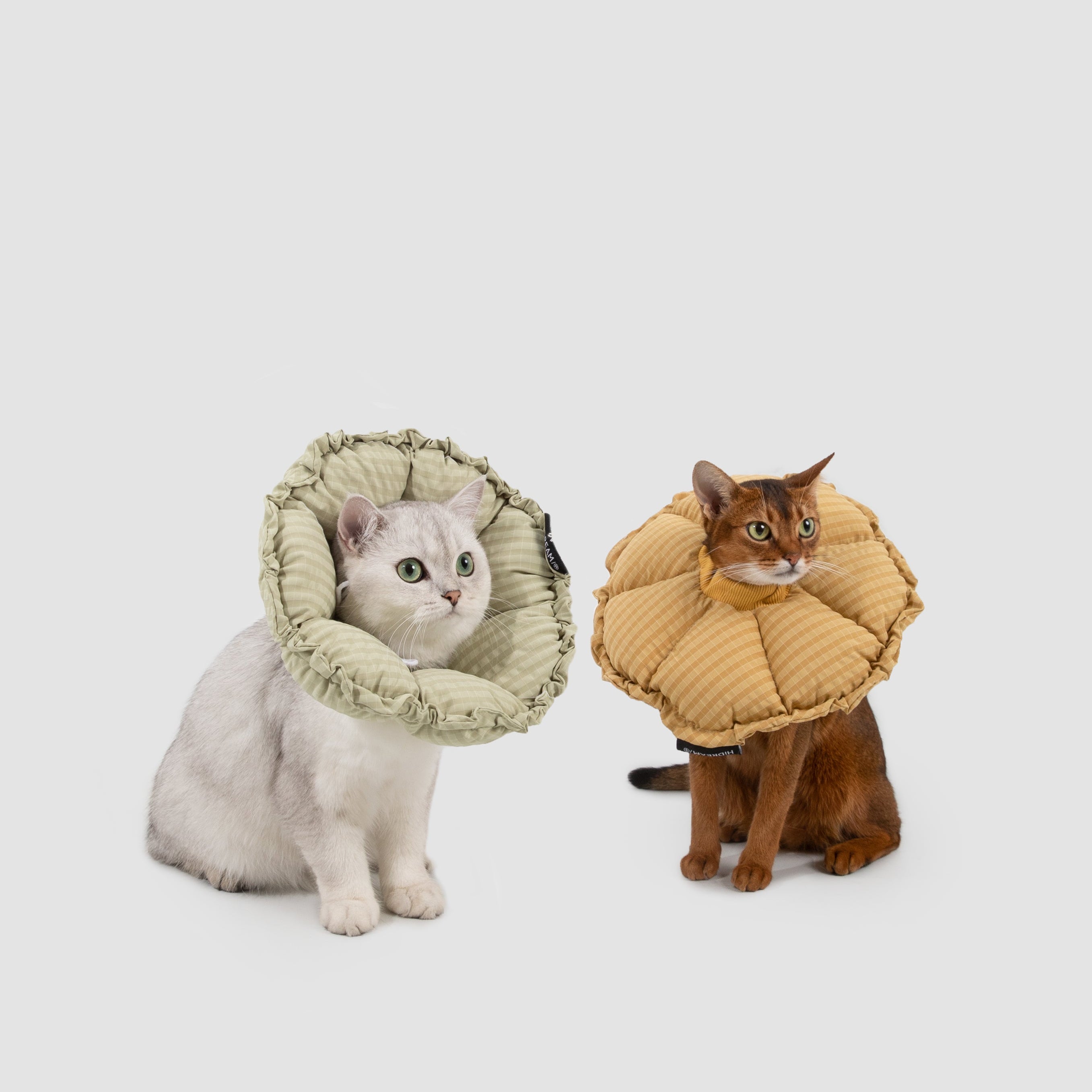A silver shaded cat and an Abyssinian cat sitting together, wearing the green and yellow HiDREAM gingham soft recovery collars.