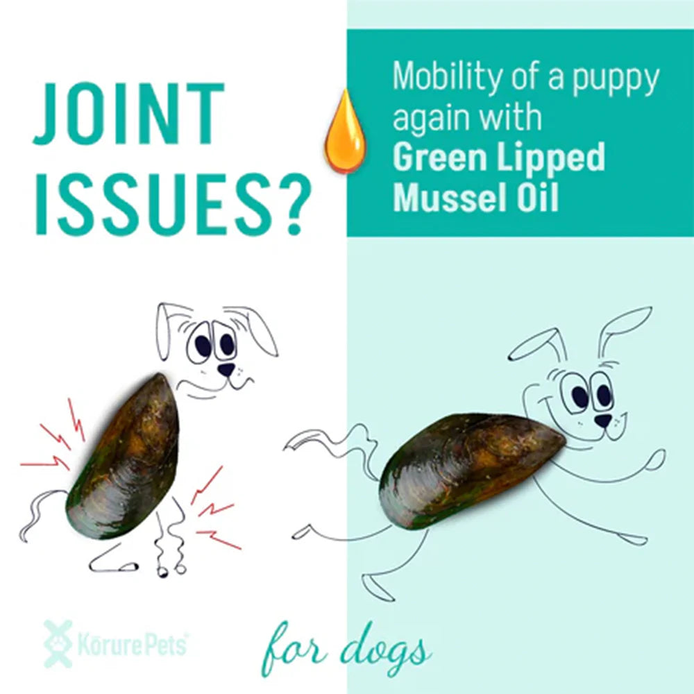Infographic showing a stiff, sad dog transforming into a running, happy dog. Text asks &
