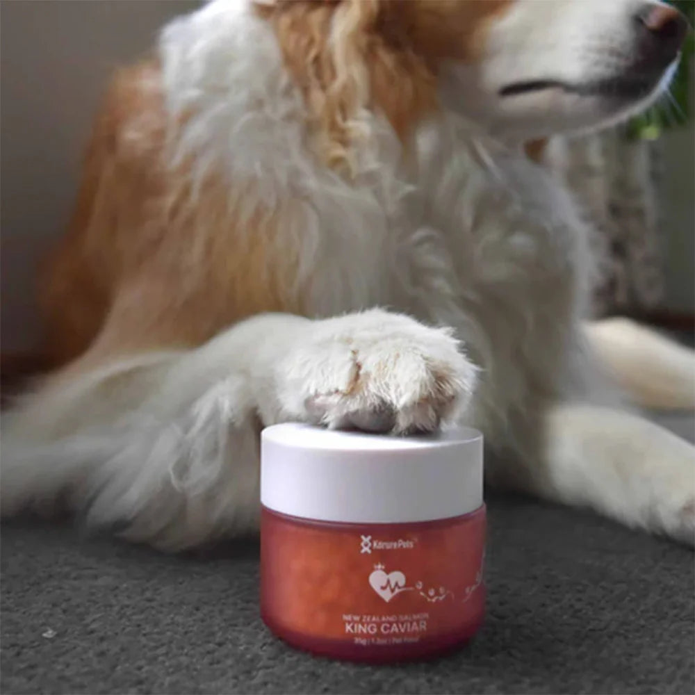 A fluffy dog resting its paw protectively over a red jar of Kōrure Pets New Zealand Salmon King Caviar. A high-value, nutrient-dense superfood for dogs.