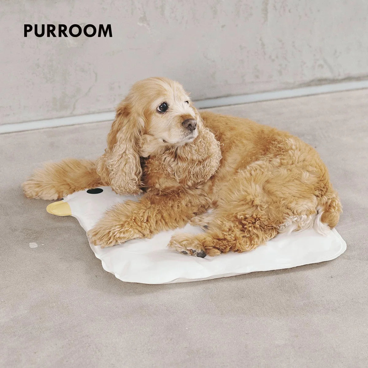 A fluffy light-brown dog relaxing comfortably on the instant cooling PURROOM Chick mat against a modern grey concrete floor, showcasing its soft and smooth texture.