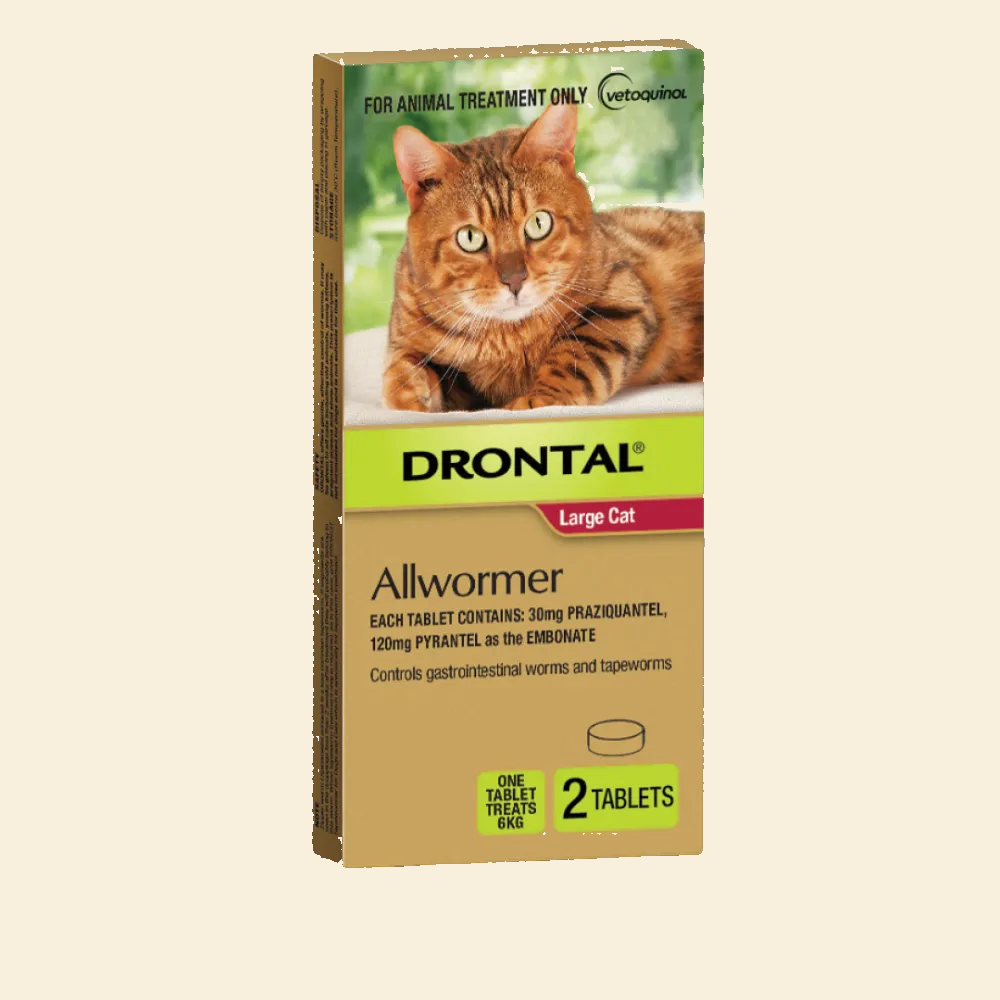 Front of Drontal Large Cat Allwormer 2-tablet pack for controlling roundworms, hookworms and tapeworms in cats up to 6kg