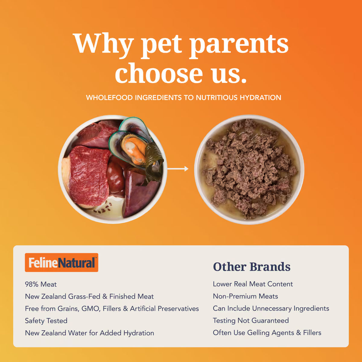 Wholefood beef, organ meat and green mussel ingredients beside prepared Feline Natural wet cat food