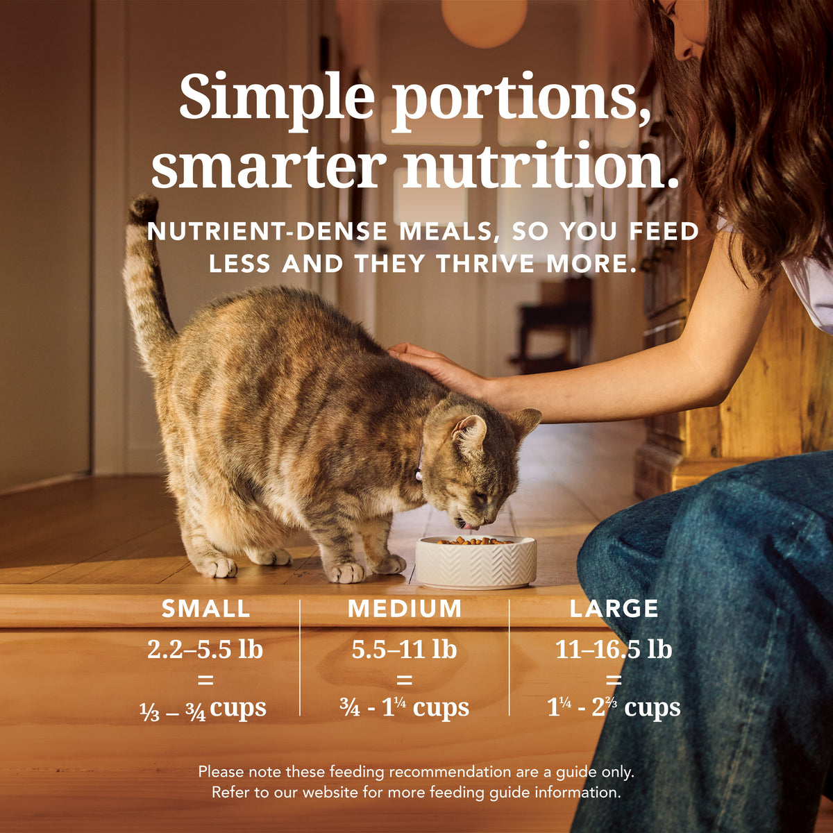 Cat eating Feline Natural freeze-dried cat food with daily portion recommendations by body weight