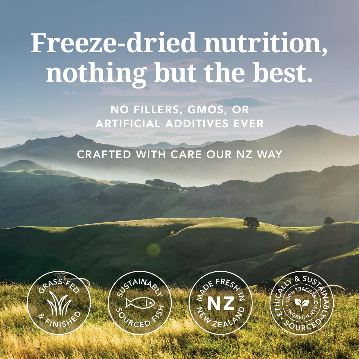 New Zealand landscape highlighting grass-fed lamb and sustainably sourced fish ingredients