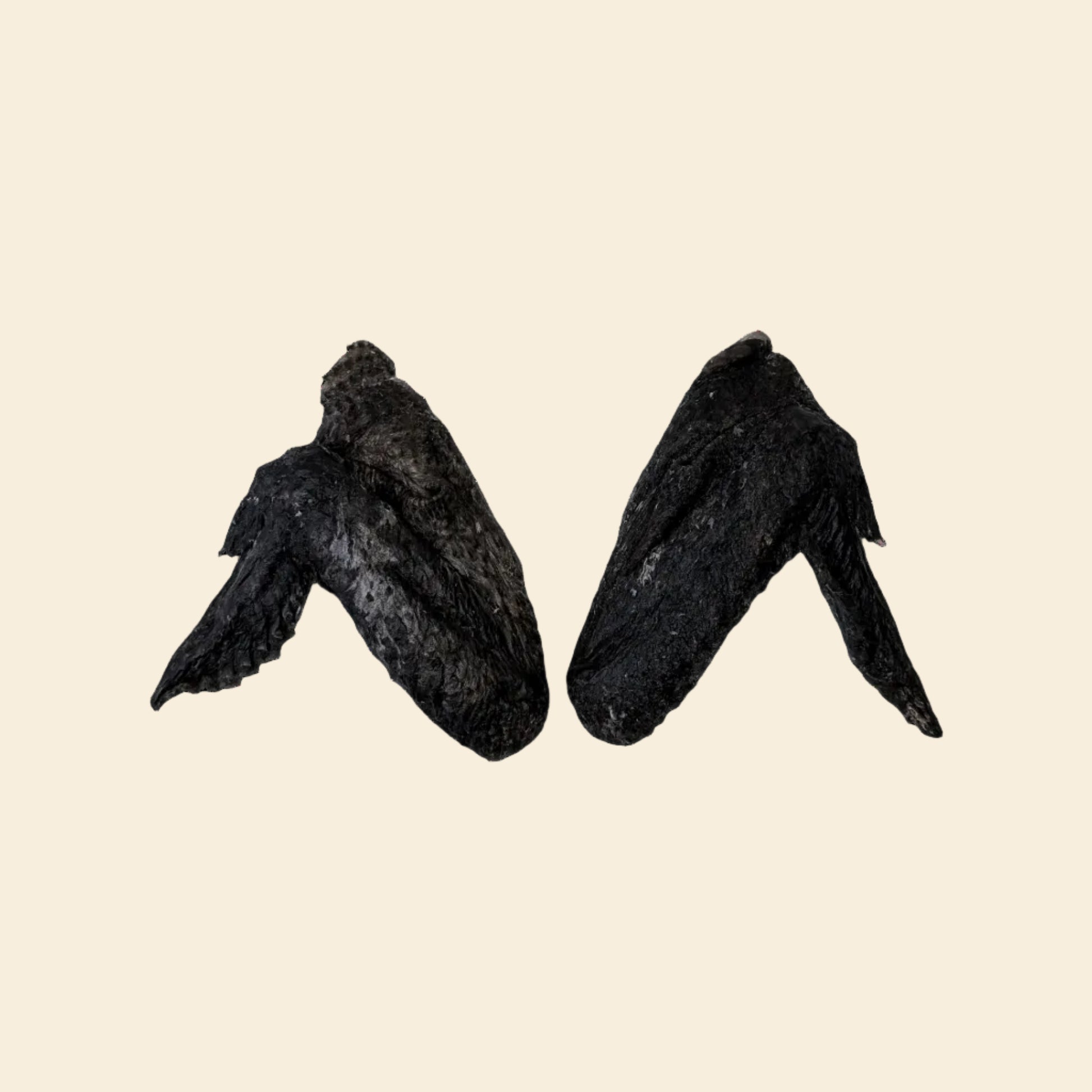 Two whole freeze-dried Silkie chicken wings displayed against a solid black background, highlighting the unique dark meat and bone structure of this exotic, nutrient-dense dog chew.