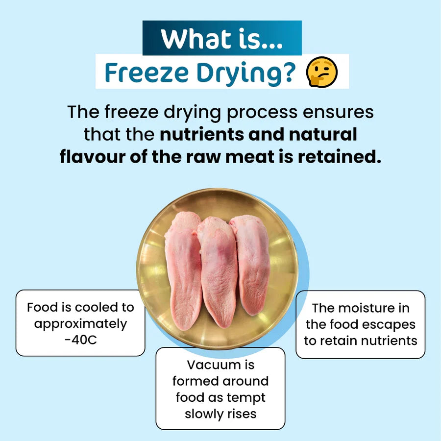 Educational infographic explaining the gentle freeze-drying process used for The Paw Grocer raw cat treats, ensuring the taurine, raw nutrients, and irresistible natural flavor of the pork tongue are perfectly retained.