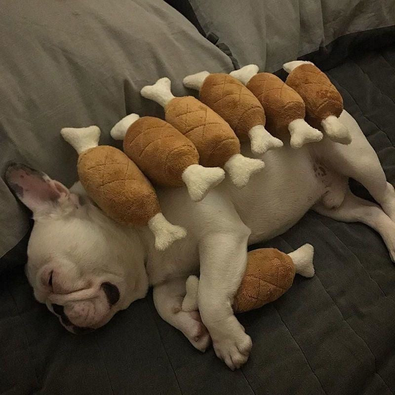 A hilarious photo of a sleeping dog with six plush chicken leg toys lined up on its back, showing the "Ultimate Cheat Meal" fun theme.