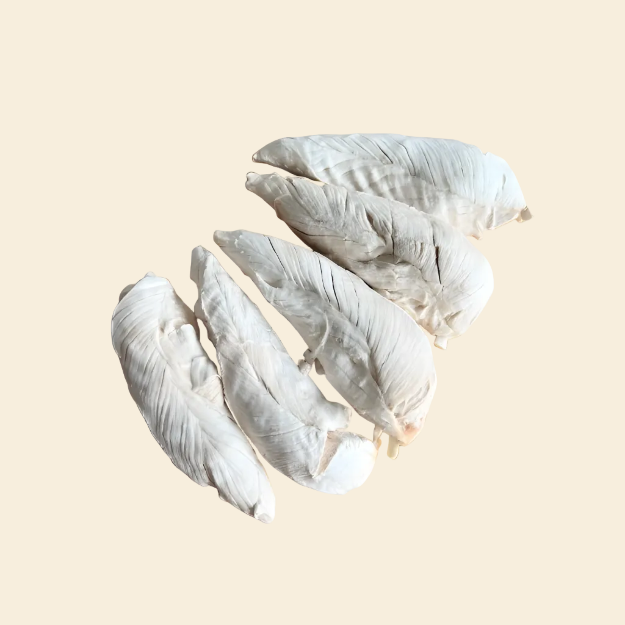 Close-up of pure freeze-dried chicken tenderloins. Shows the natural raw texture without flour or glycerin, preserving nutrients and aroma