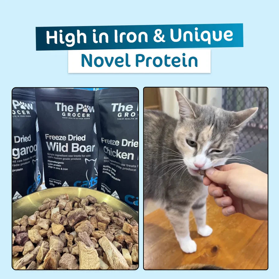 An infographic highlighting the unique novel protein and high iron content of the wild boar treats, featuring a pet parent hand-feeding the hypoallergenic reward to their cat.