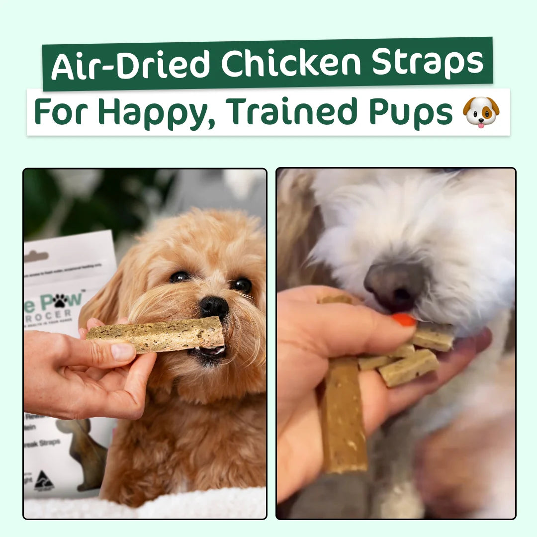 Two-panel image showing a dog holding a whole chicken strap in its mouth and a hand breaking a strap into small pieces for a happy, trained pup.