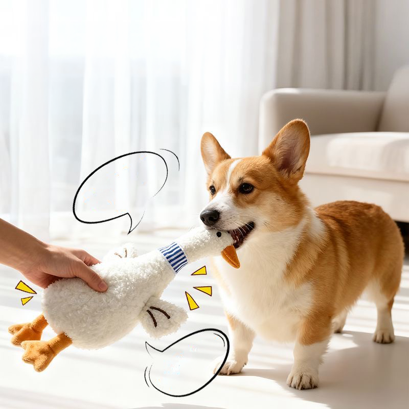 A Corgi playing tug-of-war with the Leggy Goose plush dog toy. Illustrated graphics highlight the dual-sound technology: an internal squeaker in the belly and crinkle paper in the wings.