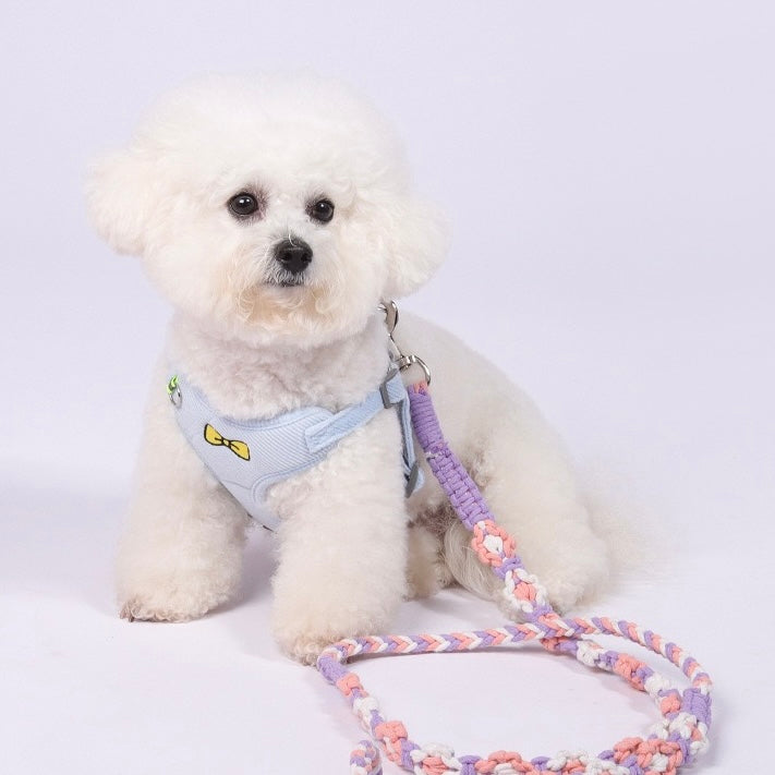 White Bichon Frise sitting with the purple flower-patterned braided leash. The lightweight cotton won&