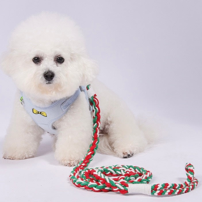 Bichon Frise modeling the red and green braided leash. Features a strong metal clip that is safe yet light enough for smaller breeds