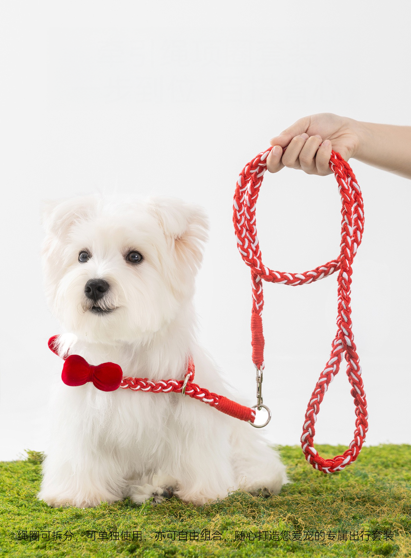 Hand holding the red braided leash. The ergonomic loop handle prevents hand fatigue during long walks