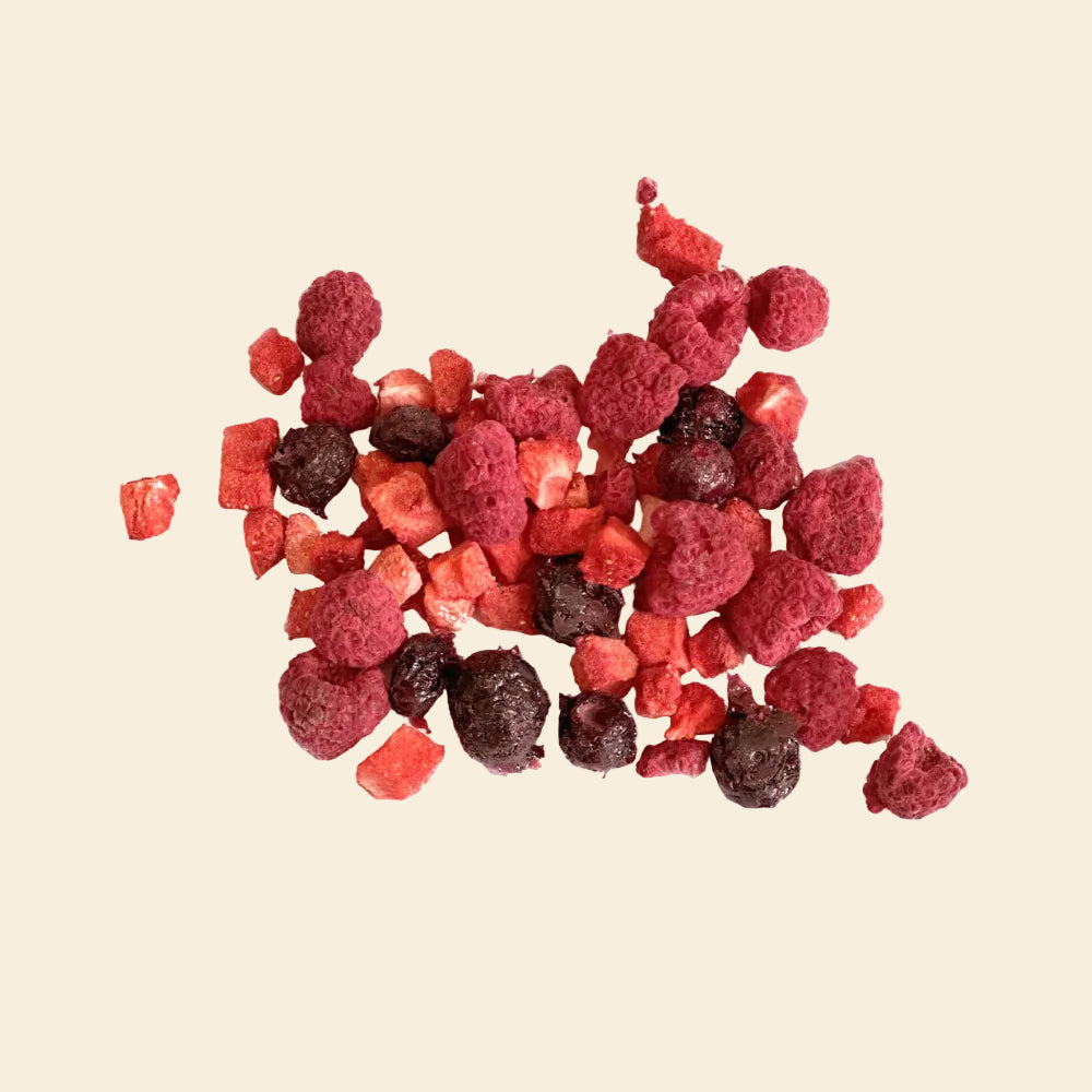 A colorful mix of freeze-dried strawberries, blueberries, raspberries, and blackberries, showing raw antioxidant superfood texture for dogs.