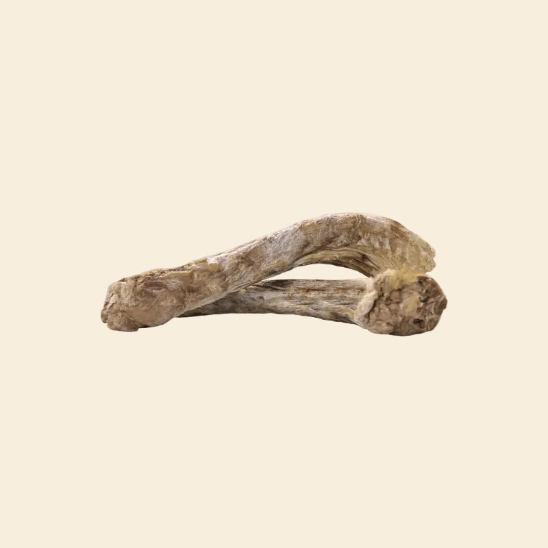 Close-up of freeze-dried duck neck for dogs, showing natural porous bone structure for dental plaque removal, 100% Australian sourced