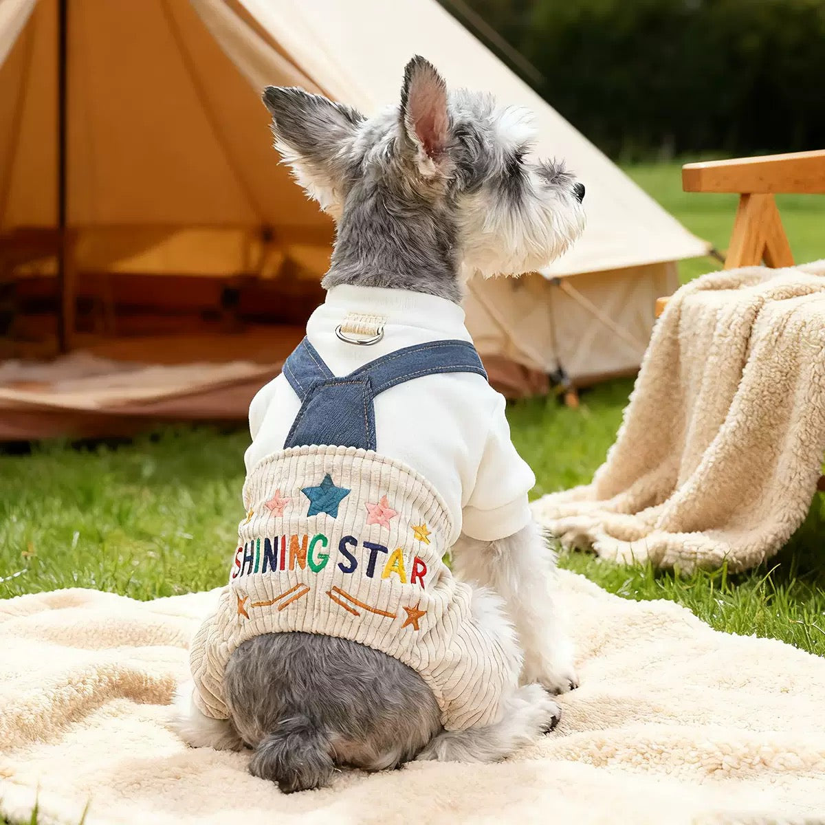Back view of a Schnauzer wearing the Shining Star Fleece Jumpsuit. Features warm corduroy pants with colorful embroidery and denim straps, perfect for glamping adventures."