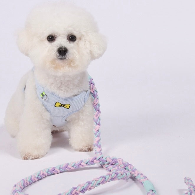 Small white dog with the pastel purple and pink braided leash. The soft material ensures a comfortable connection during daily walks