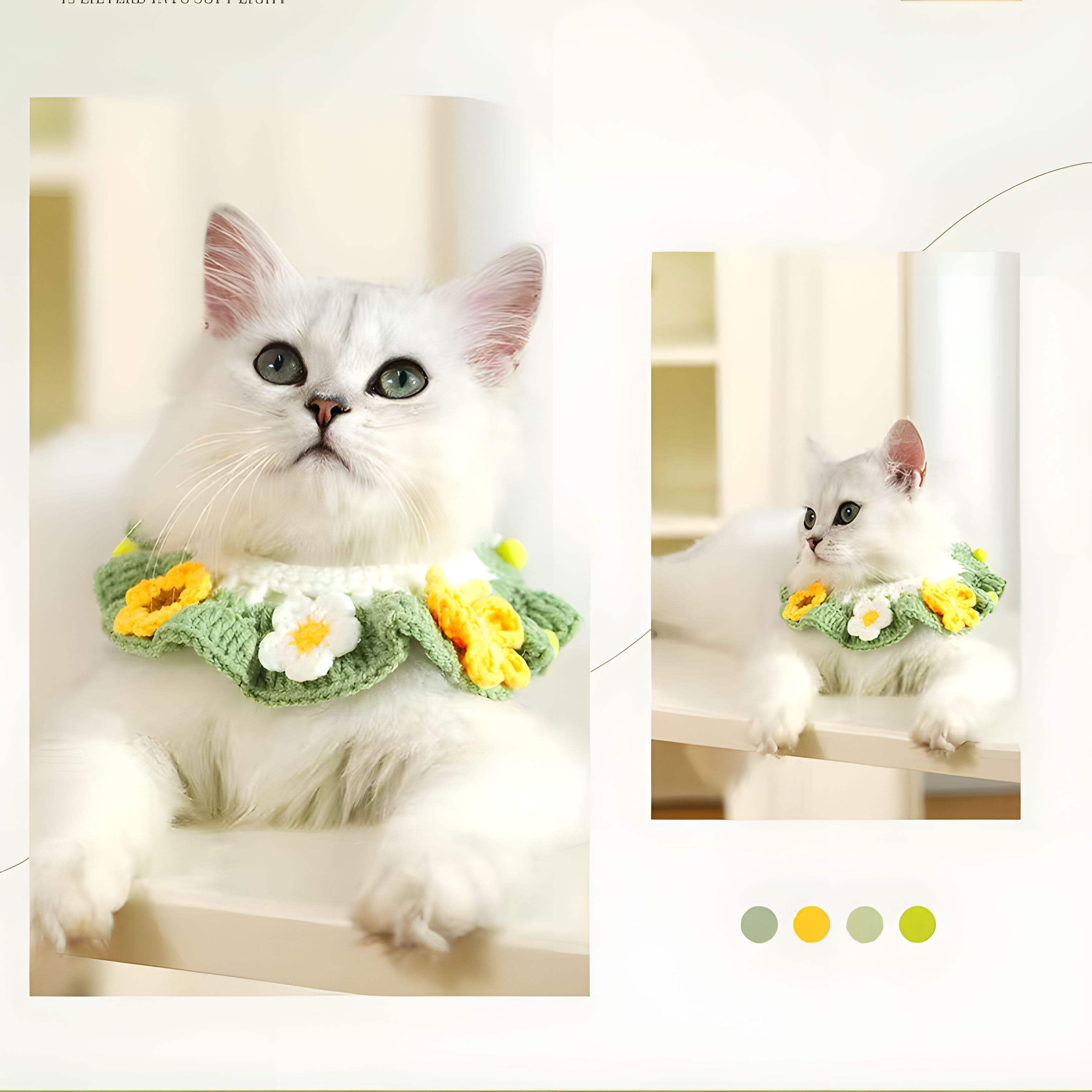 White cat modeling the soft Matcha Green crochet bib. The zero-pressure fit and silent button closure make it perfect for sensitive pets and anxiety-free dressing