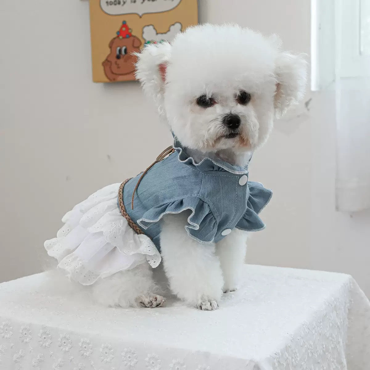 Front view of the denim pet dress showing the dainty ruffled collar and snap buttons. A vintage aesthetic that brings &