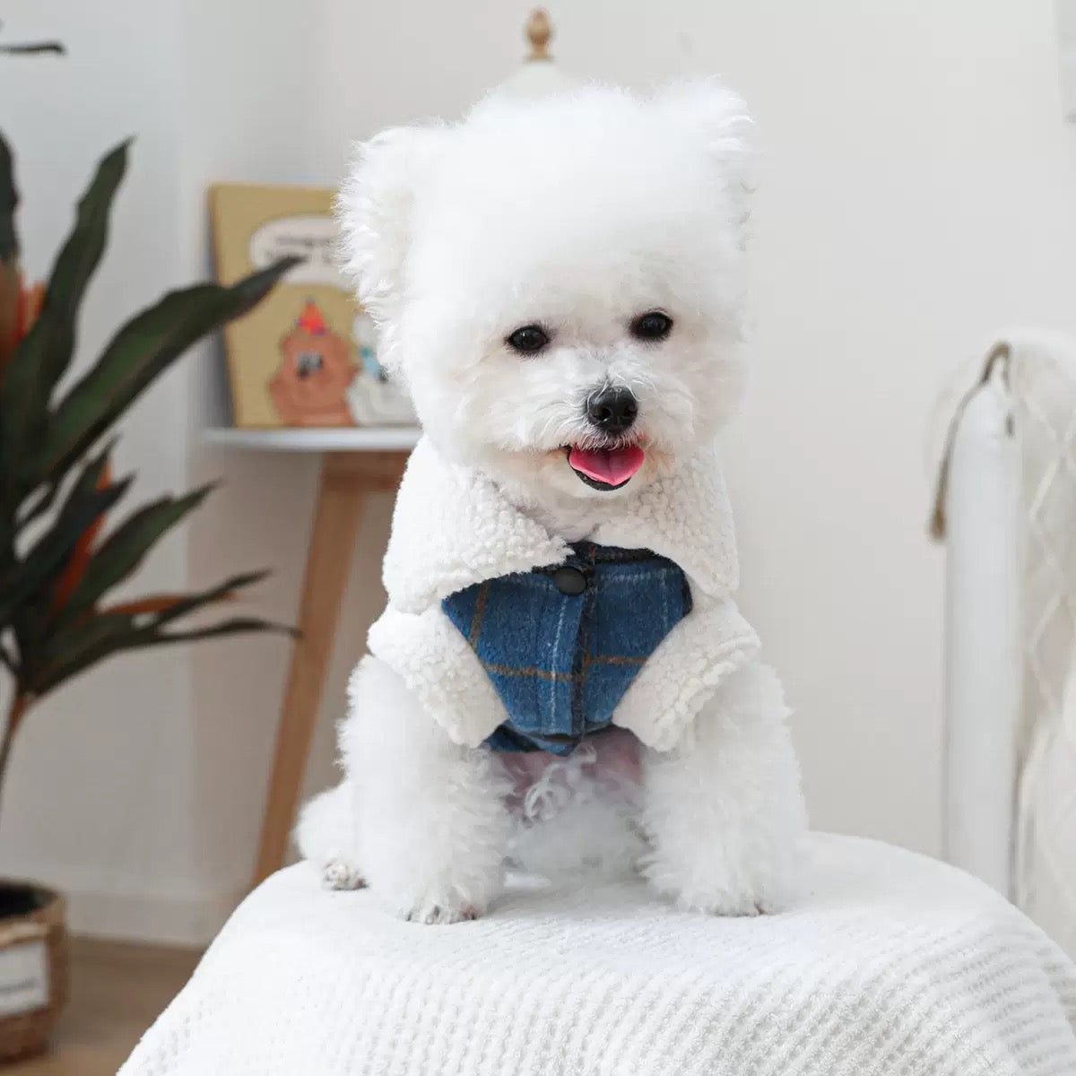 Front view of a small white dog wearing the fleece-lined winter coat. The plush faux-shearling collar provides sensory-soothing warmth against the cold