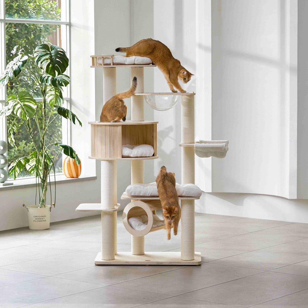 Multiple cats climbing, playing, and lounging across different levels of the tall wooden cat tree.