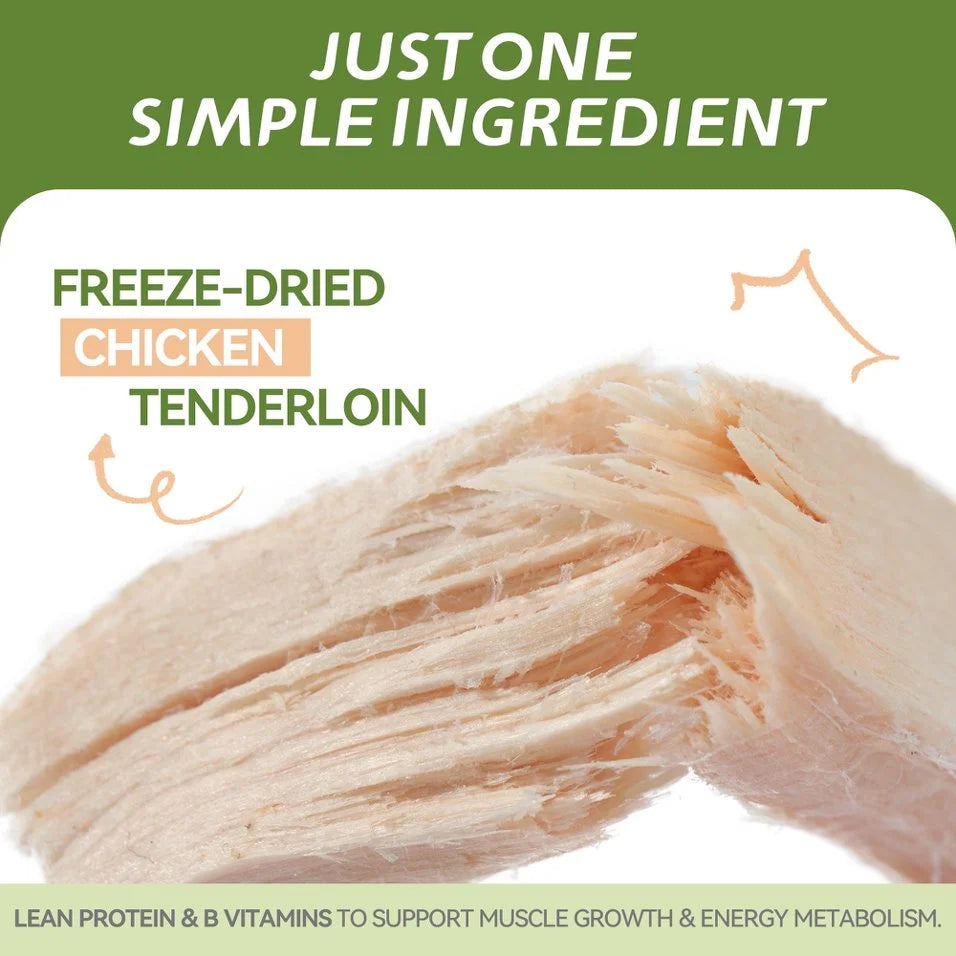 Close-up of freeze-dried chicken fillet showing its natural fibrous texture