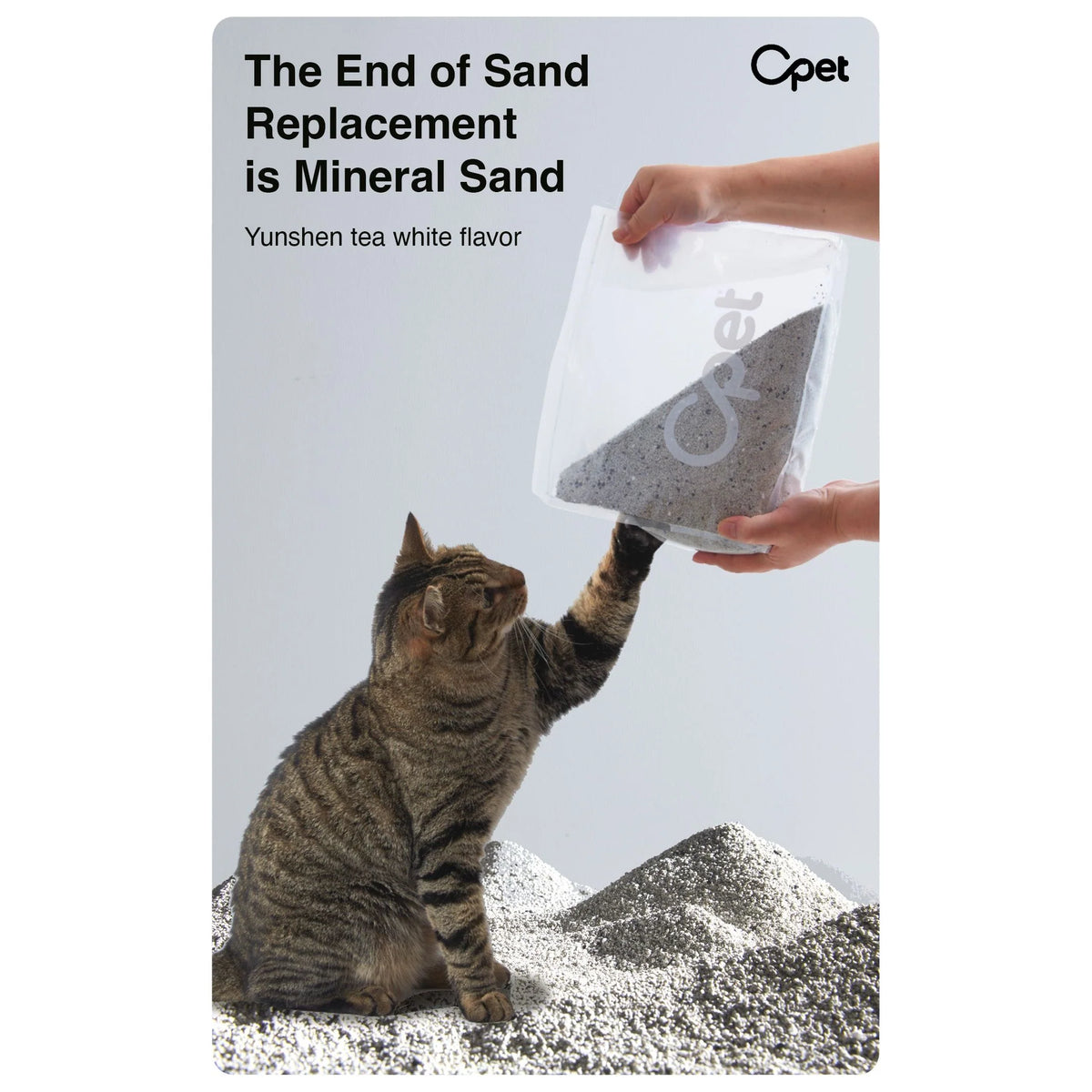 Cat inspecting a bag of OPET white tea scented sodium bentonite mineral cat litter