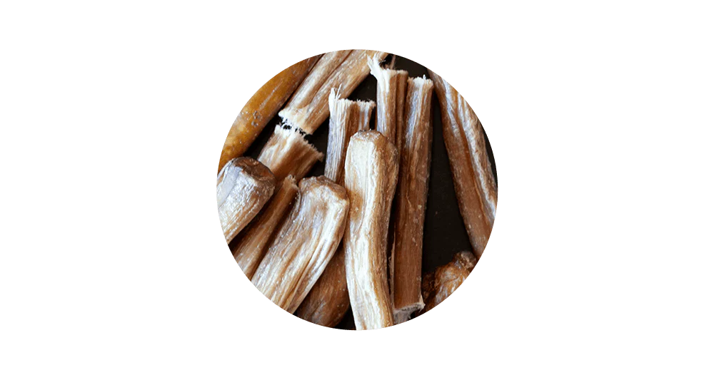 Close-up circular view of 100% pure air-dried New Zealand beef bites, highlighting the unique braided plait texture designed to act as natural dental floss.