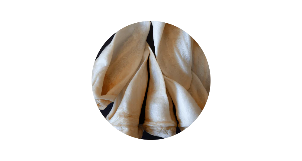 Close-up circular view of 100% pure air-dried lamb ear chews for dogs, highlighting the hard, crunchy texture designed to scrape away plaque and support dental health.