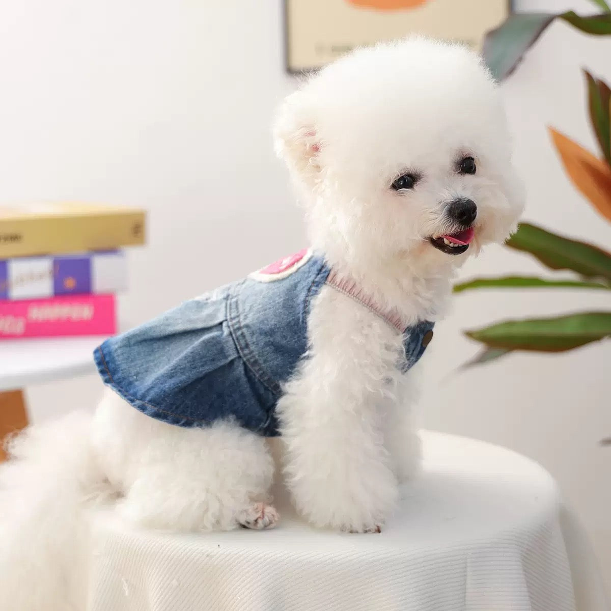 Side profile of a Bichon Frise wearing a soft-washed denim dog dress, highlighting the pastel pink stretchy elastic shoulder straps for a comfortable fit.