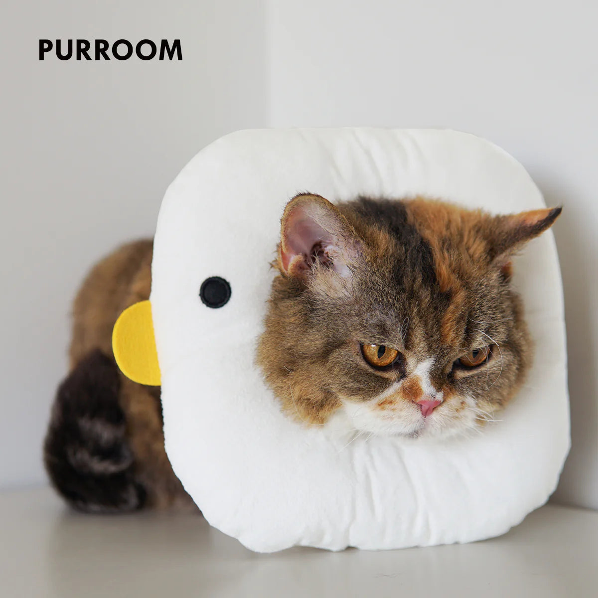 A resting cat wearing the super soft PURROOM chick recovery collar. Demonstrates how the plush PP cotton material acts as a portable pillow, allowing pets to sleep comfortably during healing.