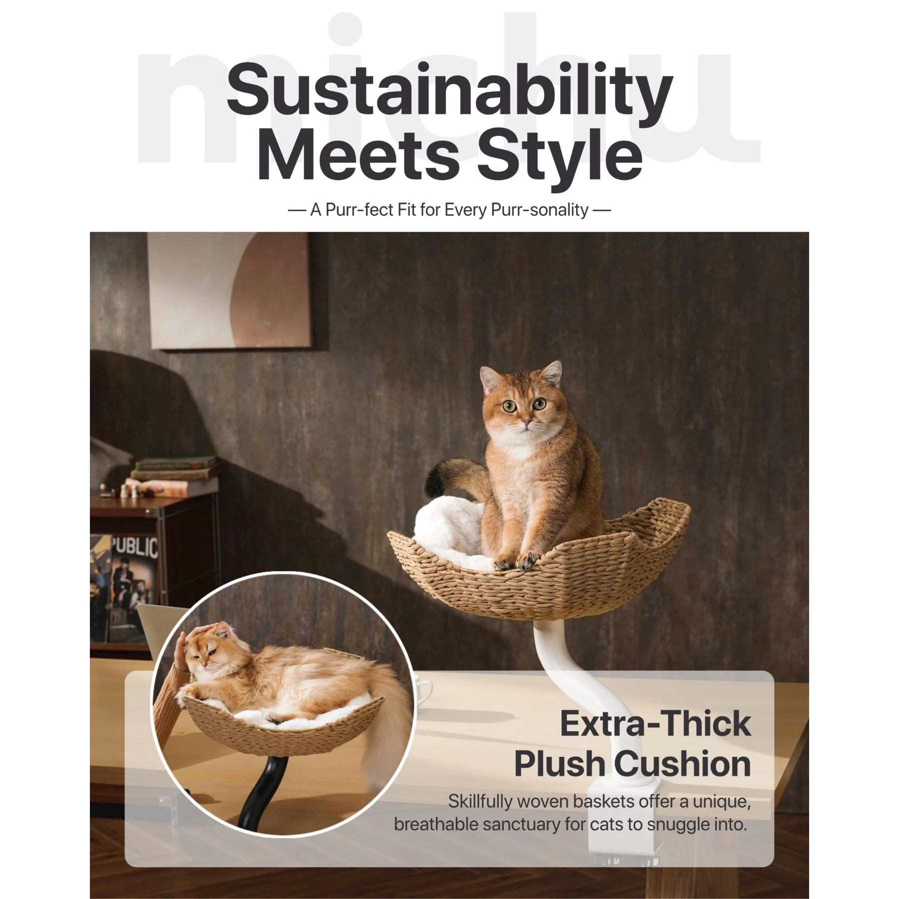 A golden cat resting in the Michu DeskMate woven basket. Highlights the &