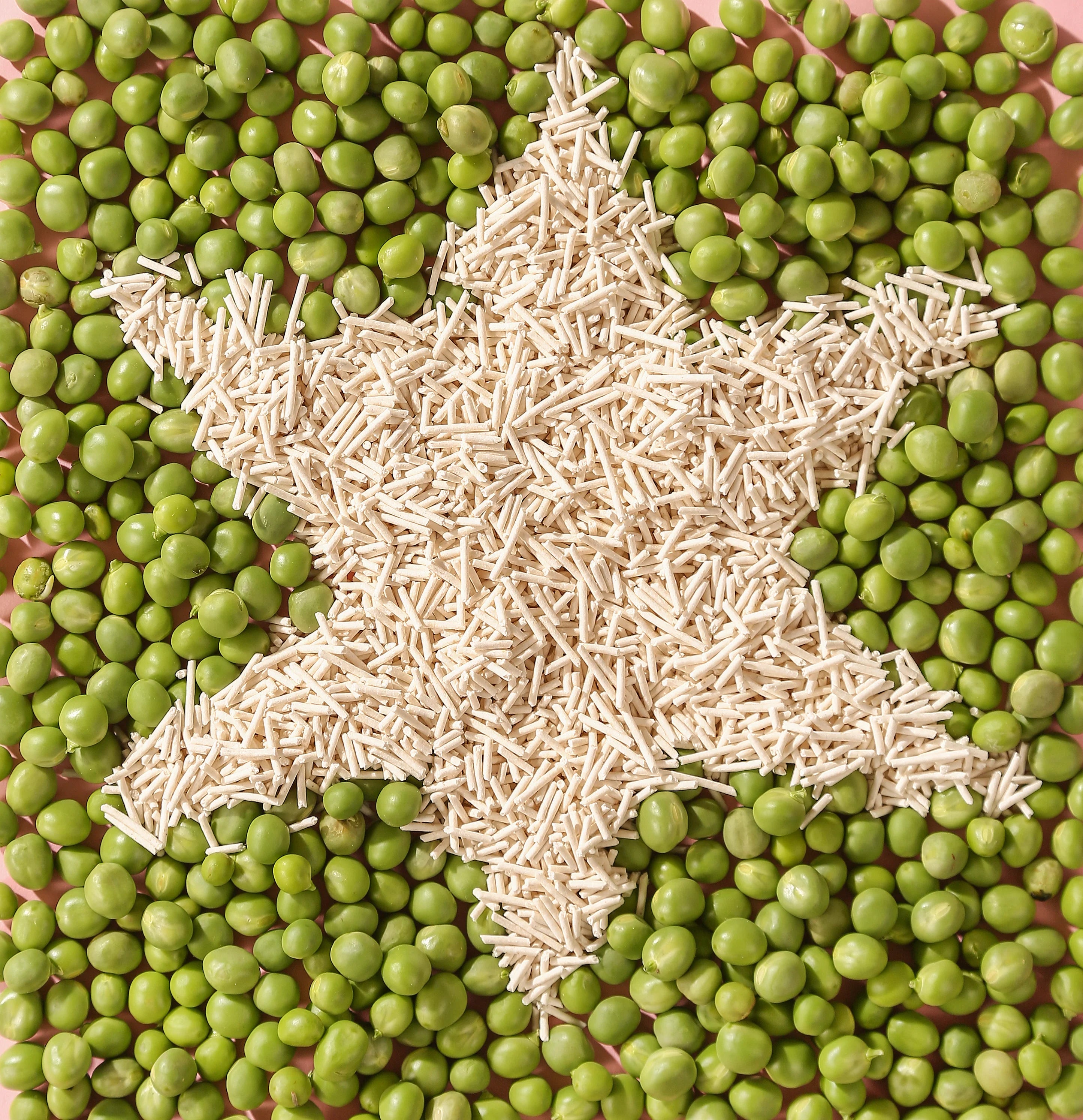 Tofu cat litter pellets beautifully arranged in a star shape surrounded by fresh green peas, representing the Twinkle Tale brand&