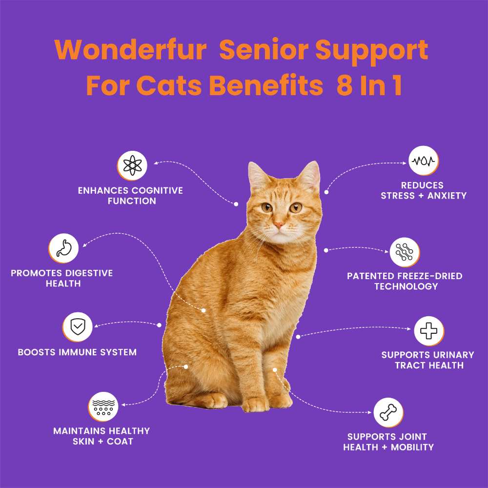 Wonderfur Bites Senior Support infographic outlining eight functional benefits for senior cats