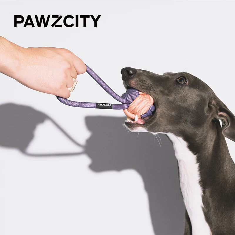 PAWZCITY Interactive Rope Ball With Loop | Interactive Fetch &amp; Tug Toy for Dogs