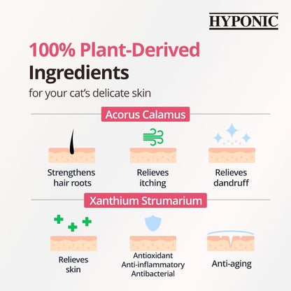 Infographic highlighting 100% plant-derived ingredients like Acorus Calamus and Xanthium Strumarium, showing benefits like strengthening hair roots, relieving itching, and anti-aging.
