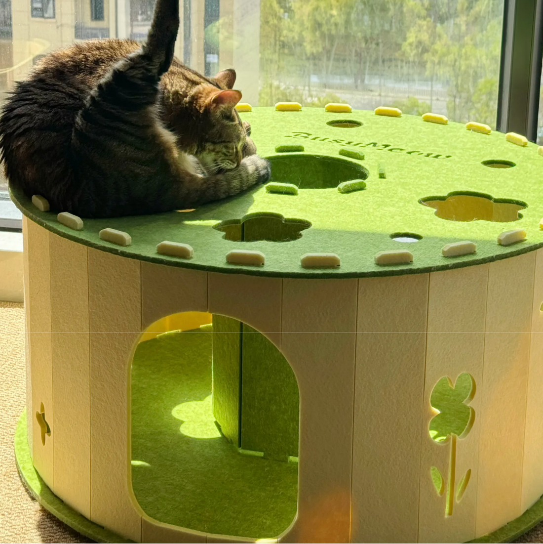 Cat lounging on a green and beige cat house with clover designs.