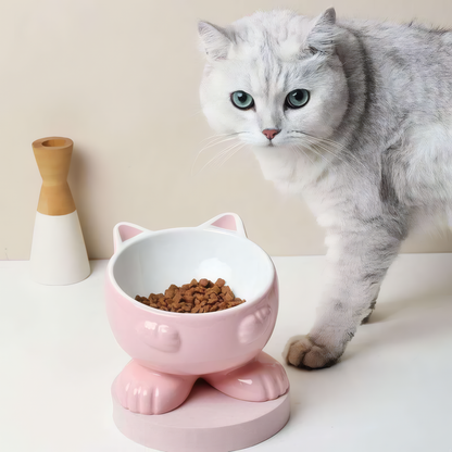 Cat with a pink cat-shaped bowl on a white surface