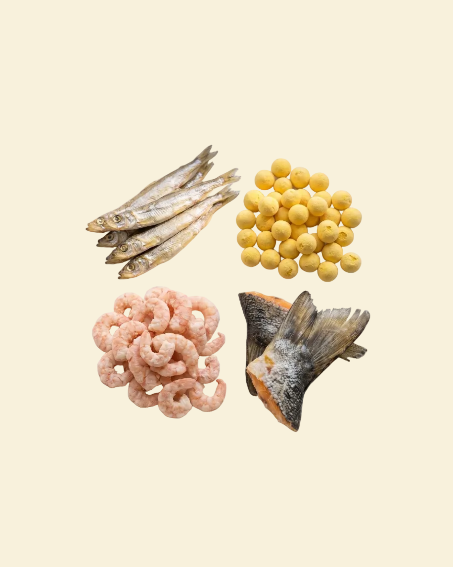 Ultimate Value Treat Bundles | Tailored Freeze-Dried Nutrition