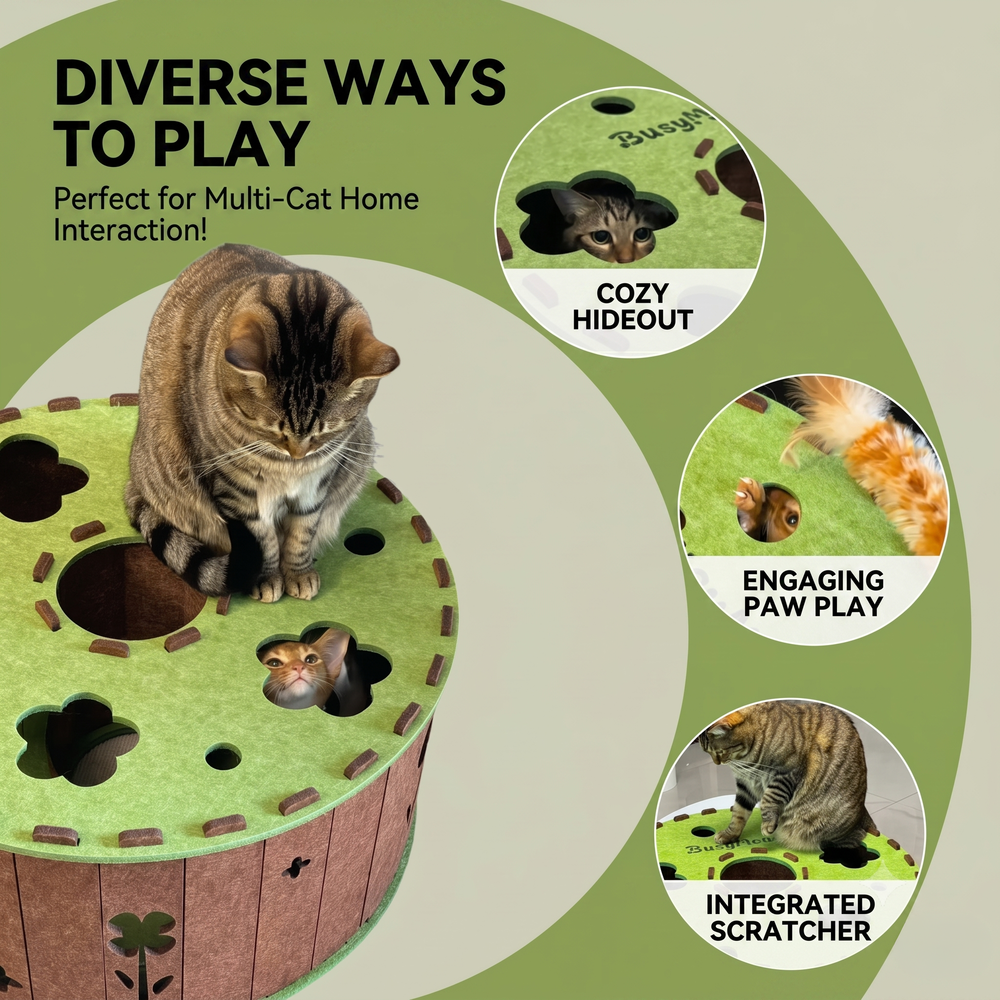 Diverse Ways to Play and images of cats interacting.