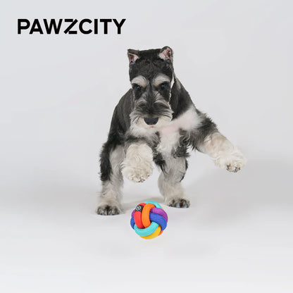 Dog playing with a colorful toy on a white background, with &
