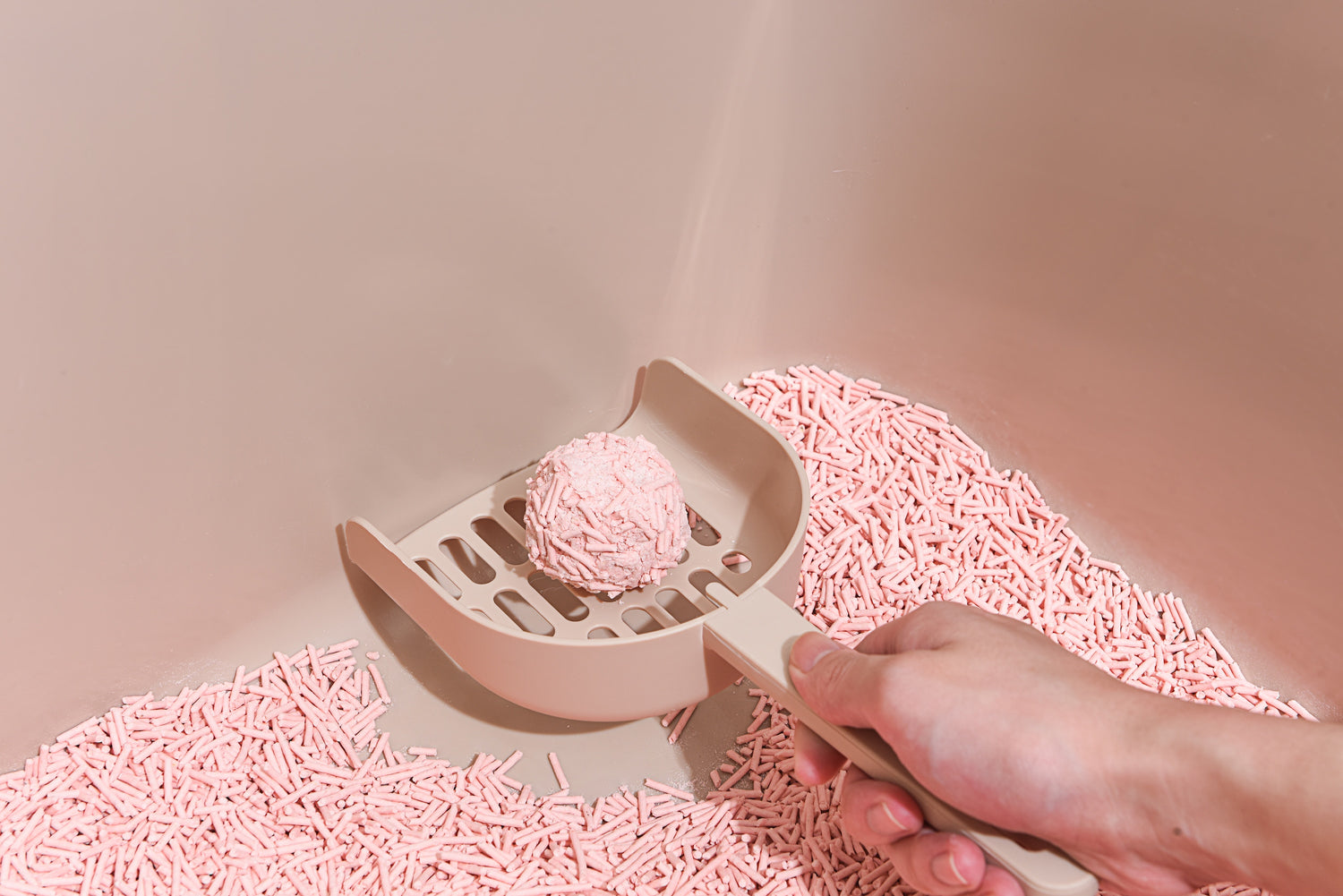 Using a pink scoop to collect pink cat litter from a pink litter box on a beige background